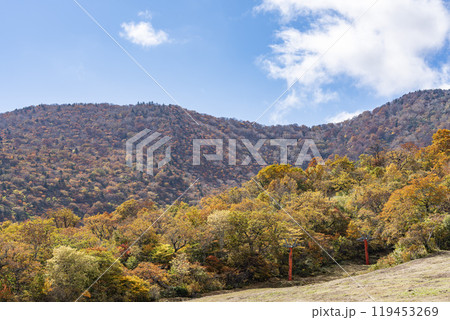 宮城蔵王の紅葉 えぼしスキー場から見た後烏帽子岳方面の紅葉 宮城県蔵王町 宮城蔵王の紅葉 えぼしスキー場から見た後烏帽子岳方面の紅葉 宮城県蔵王町 119453269