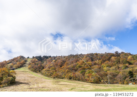 宮城蔵王の紅葉 えぼしスキー場から見た後烏帽子岳方面の紅葉 宮城県蔵王町 宮城蔵王の紅葉 えぼしスキー場から見た後烏帽子岳方面の紅葉 宮城県蔵王町 119453272