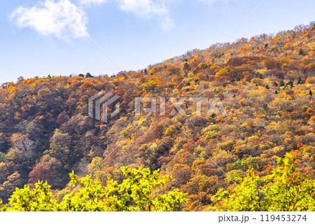 宮城蔵王の紅葉　えぼしスキー場から見た後烏帽子岳方面の紅葉　宮城県蔵王町 119453274