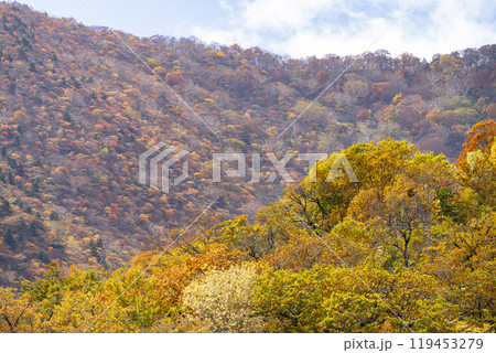 宮城蔵王の紅葉　えぼしスキー場から見た後烏帽子岳方面の紅葉　宮城県蔵王町 119453279