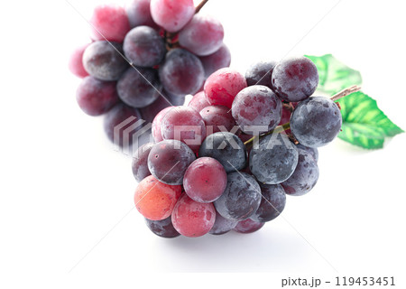 秋の味覚 ピオーネ （ 白背景 ） 119453451
