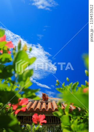 めんそーれ沖縄　青い空と赤いハイビスカスとシーサーと 119453922