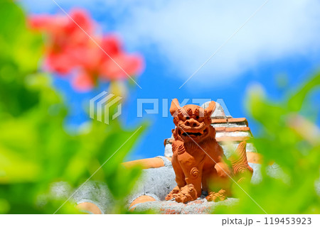 めんそーれ沖縄　青い空と赤いハイビスカスとシーサーと 119453923