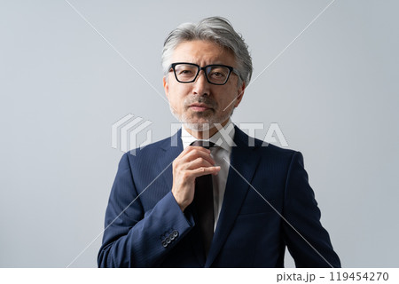 ビジネスマン グレイヘア ビジネスマン グレイヘア 119454270