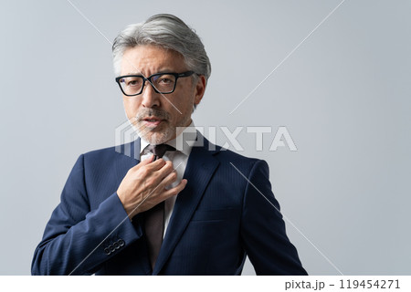 ビジネスマン　グレイヘア 119454271