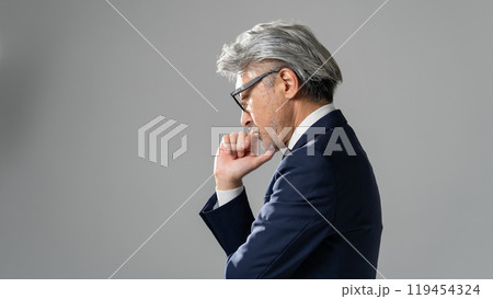 ビジネスマン　グレイヘア　考える 119454324
