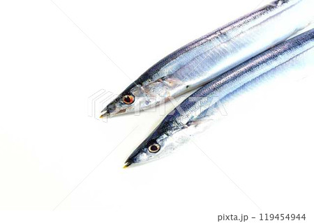 サンマ　秋刀魚　さんま 119454944