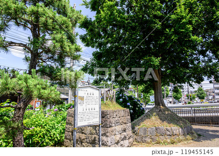 東海道保土ヶ谷宿一里塚跡 119455145