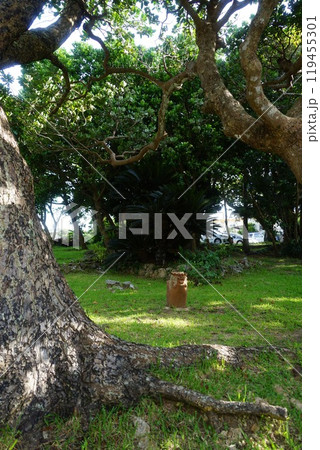 川平公園にあるシ－サー　7月石垣島40シーサー・川平公園・沖縄八重山諸島 119455301