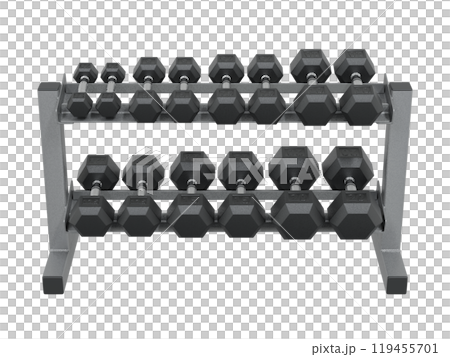 Gym Dumbbell rack, a stand for weightlifting gym equipment Gym Dumbbell rack, a stand for weightlifting gym equipment 119455701