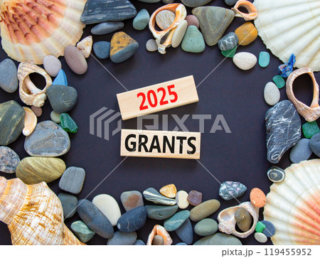 Planning 2025 grants new year symbol. Concept words 2025 Grants on beautiful wooden blocks. Beautiful black background. Beautiful sea stones shell. Business 2025 grants new year concept. Copy space. Planning 2025 grants new year symbol. Concept words 2025 Grants on beautiful wooden blocks. Beautiful black background. Beautiful sea stones shell. Business 2025 grants new year concept. Copy space. 119455952