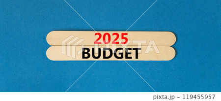 Planning 2025 budget new year symbol. Concept words 2025 Budget on beautiful wooden sticks. Beautiful blue background. Business 2025 budget new year concept. Copy space. 119455957