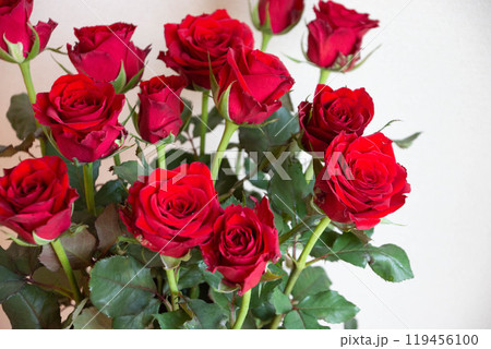 赤い薔薇 119456100