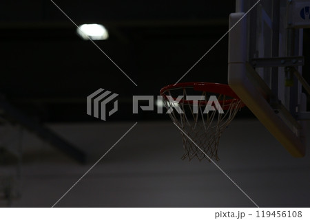 バスケットボール 119456108