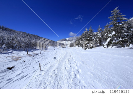 厳冬期の北横岳の風景 ( 八丁平 ) 119456135