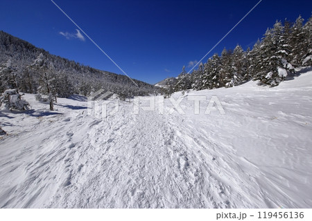 厳冬期の北横岳の風景 ( 八丁平 ) 119456136