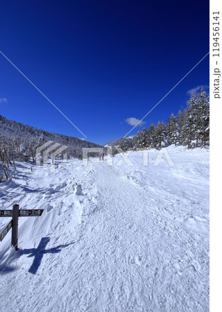 厳冬期の北横岳の風景 ( 八丁平 ) 119456141