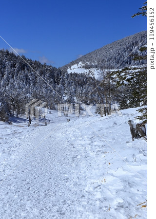 厳冬期の北横岳の風景 ( 八丁平 ) 厳冬期の北横岳の風景 ( 八丁平 ) 119456152