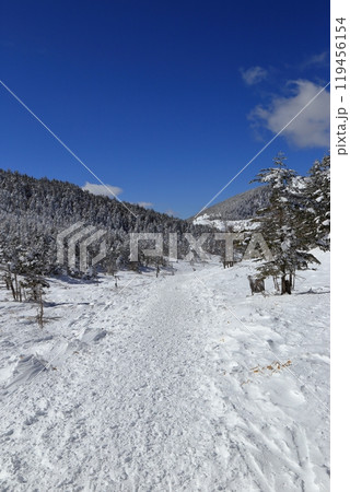 厳冬期の北横岳の風景 ( 八丁平 ) 119456154