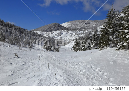 厳冬期の北横岳の風景 ( 八丁平 ) 119456155