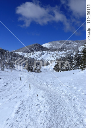 厳冬期の北横岳の風景 ( 八丁平 ) 119456156