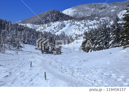 厳冬期の北横岳の風景 ( 八丁平 ) 119456157