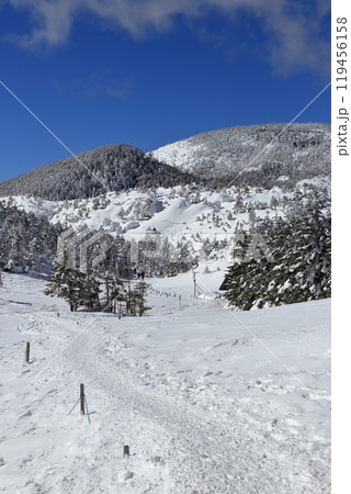厳冬期の北横岳の風景 ( 八丁平 ) 119456158