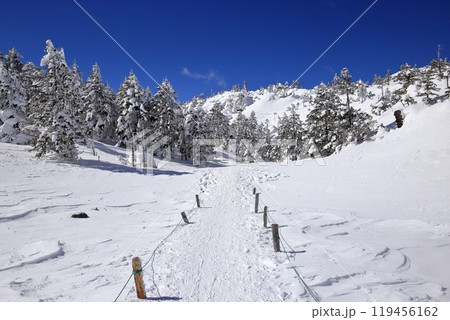 厳冬期の北横岳の風景 ( 八丁平 ) 厳冬期の北横岳の風景 ( 八丁平 ) 119456162