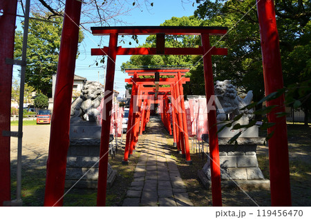 群馬県高崎市新町のパワースポット 於菊稲荷神社 群馬県高崎市新町のパワースポット 於菊稲荷神社 119456470