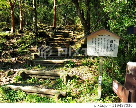 【山の標識】神奈川県・箱根旧街道・追込坂(2018年) 【山の標識】神奈川県・箱根旧街道・追込坂(2018年) 119457030