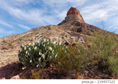 テキサス州　ビッグベンド国立公園 119457122