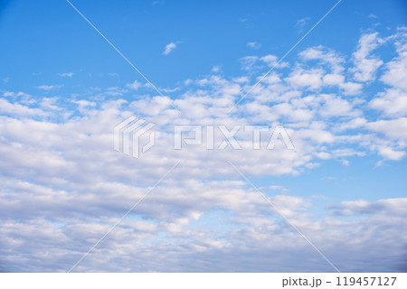 秋の空 青空 晴れ 10月 空イメージ 【東京都】 秋の空 青空 晴れ 10月 空イメージ 【東京都】 119457127