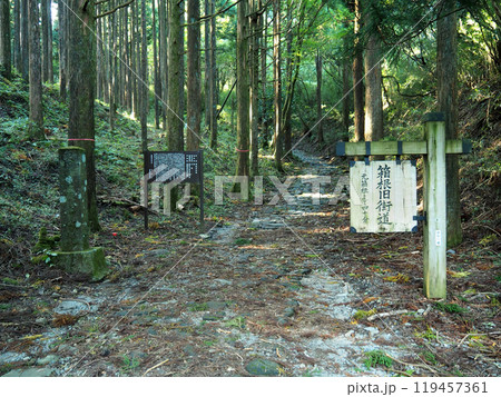 【山の標識】神奈川県・箱根旧街道(2018年) 【山の標識】神奈川県・箱根旧街道(2018年) 119457361