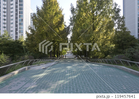 韓国の新都市:一山(イルサン・Ilsan)の街並み 韓国の新都市:一山(イルサン・Ilsan)の街並み 119457641