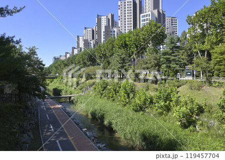 韓国の果川(グワチョン・Gwacheon)の街並み 韓国の果川(グワチョン・Gwacheon)の街並み 119457704
