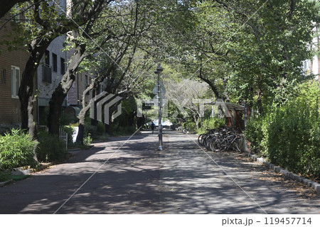 韓国の果川(グワチョン・Gwacheon)の街並み 韓国の果川(グワチョン・Gwacheon)の街並み 119457714