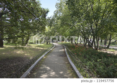 韓国の新都市:盆唐(ブンダン・Bundang)の街並み 韓国の新都市:盆唐(ブンダン・Bundang)の街並み 119457756