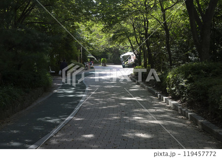 韓国の新都市：盆唐（ブンダン・Bundang）の街並み 119457772