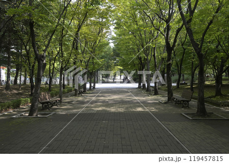韓国の新都市:一山(イルサン・Ilsan)の街並み 韓国の新都市:一山(イルサン・Ilsan)の街並み 119457815