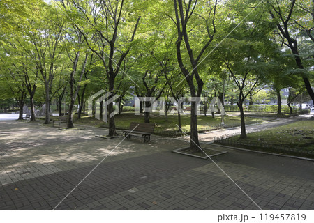 韓国の新都市：一山（イルサン・Ilsan）の街並み 119457819