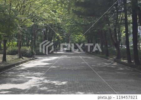 韓国の新都市:一山(イルサン・Ilsan)の街並み 韓国の新都市:一山(イルサン・Ilsan)の街並み 119457821