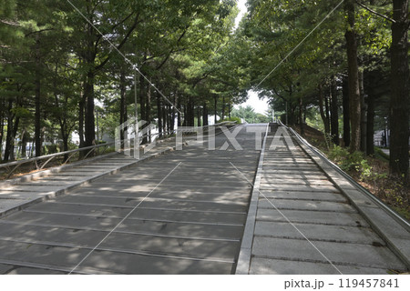 韓国の新都市：一山（イルサン・Ilsan）の街並み 119457841
