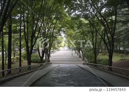 韓国の新都市：一山（イルサン・Ilsan）の街並み 119457843