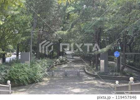 韓国の新都市：一山（イルサン・Ilsan）の街並み 119457846