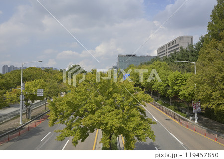 韓国の新都市：一山（イルサン・Ilsan）の街並み 119457850