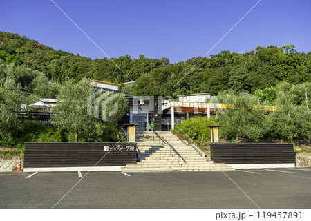 小豆島　オリーブ園　香川県小豆島町 119457891