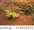 秋の紅葉と落ち葉 119458202