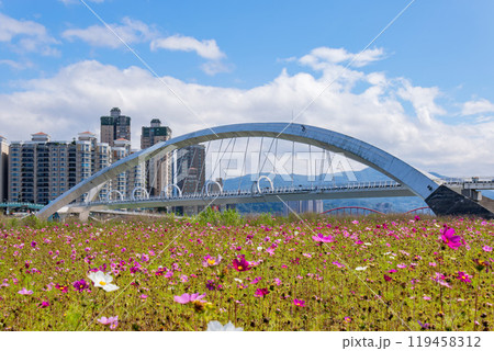 Sunny view of the Sunshine Bridge Sunny view of the Sunshine Bridge 119458312