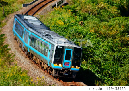 土佐くろしお鉄道・中村線のカーブを駆け抜ける特急あしずり 119458453