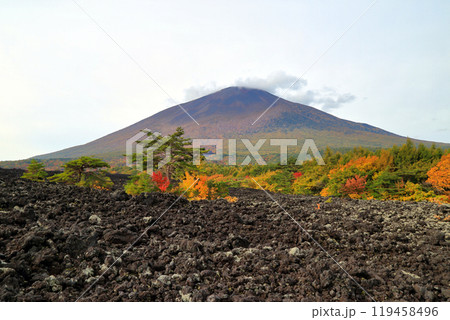 秋の岩手山と焼走り 119458496
